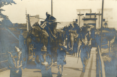 222675 Afbeelding van de maskeradeoptocht met olifanten ter hoogte van de Vossegatsedijk te Utrecht met als thema ...